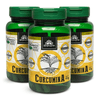 kampo-de-ervas-curcumina-65g-90-capsulas-organica-kit3