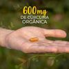 kampo-de-ervas-curcuma-600mg-90-capsulas-loja-projeto-verao-001
