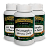 uxi-amarelo-e-unha-de-gato_kit-3x-500mg-60-capsulas_botanica-haacke