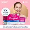 Reggene-Colageno